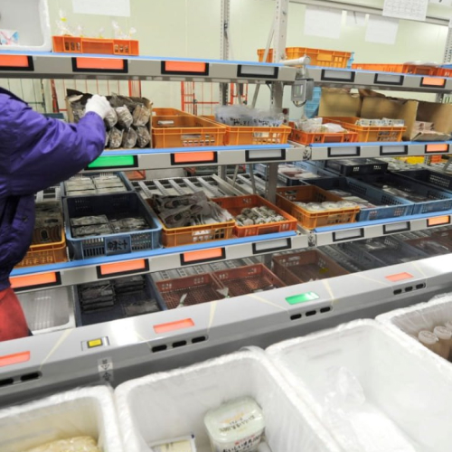 ピカトルシリーズ