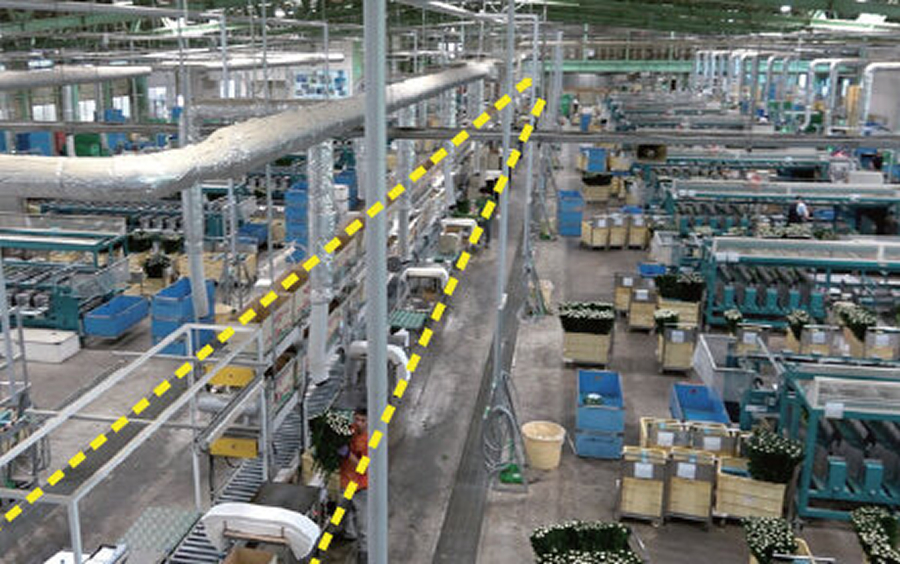 中央に3段式のコンベヤライン（破線の囲み部）が設置され、左右に18台の花ロボが並ぶ